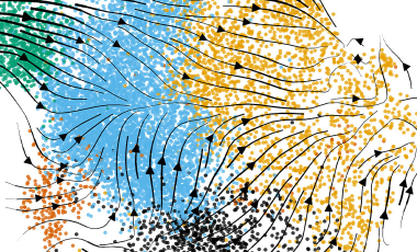 Research Project Preview Group - Bioinformatics