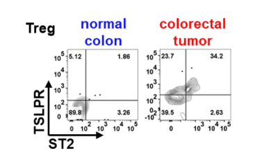 Ziegler Res Proj Prev - Role of TSLPR+ST2