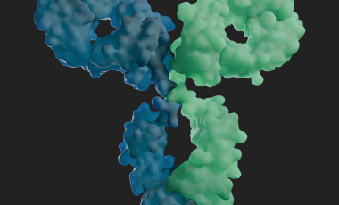 Blog 3D Biological Antibody