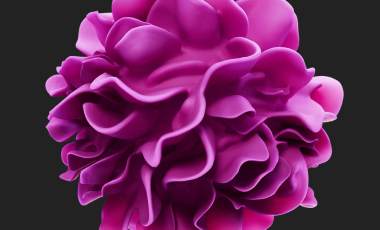 Blog 3D Biological Macrophage