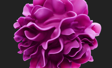 Blog 3D Biological Macrophage