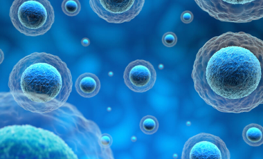 Banner Abstract Blue Microscopic Cells Floating in Matrix