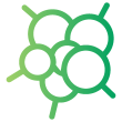 2 Per Row Icon Biological Disease Cancer
