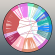 Center Preview Square Image - Systems Immunology