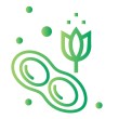 2 Per Row Icon Biological Disease Allergies