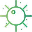 2 Per Row Icon Biological Disease Infectious