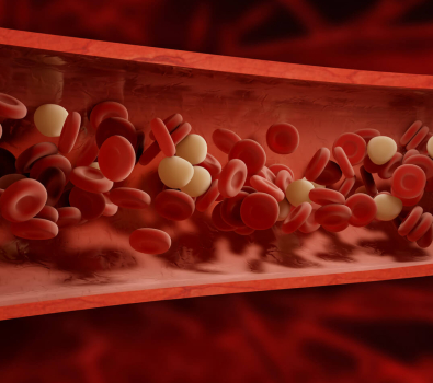 Blog 3D Biological Blood Cells Bloodstream