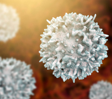 Blog 3D Biological Lymphocyte Cells