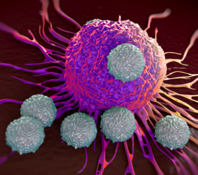 Blog Main Image - 3D Biological T Cells Attacking Cancer Cell