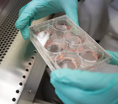 Blog BRI Researcher Handling Samples Hood