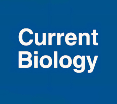 News Logo Current Biology