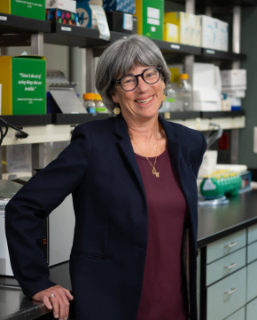 Carla J Greenbaum