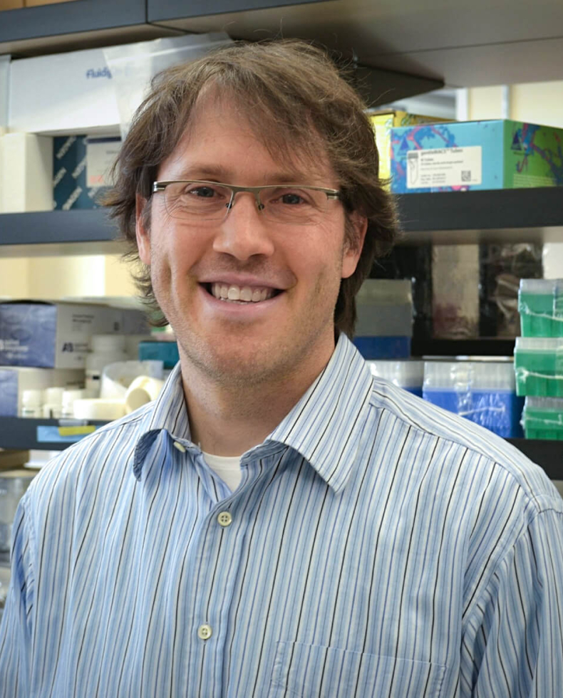 Bioinformatics at BRI Benaroya Research Institute