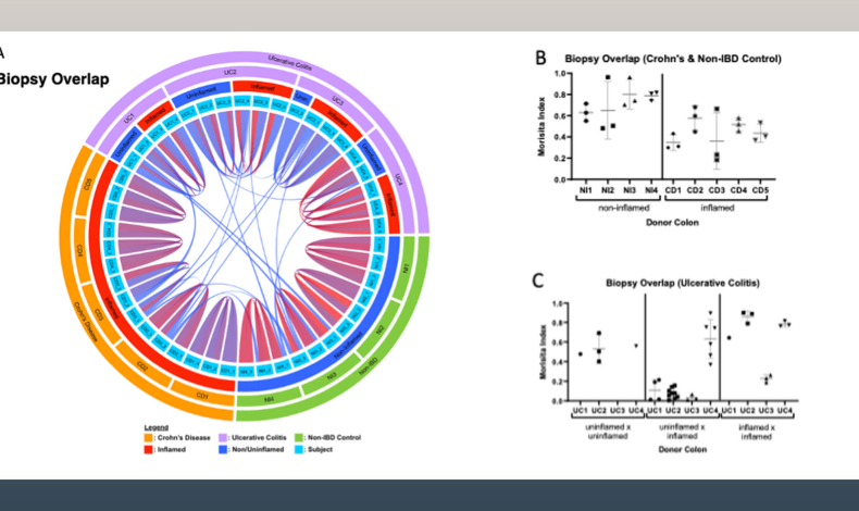 Labs | Benaroya Research Institute